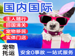 铜仁凤凰空运公司国际宠物托运 【国